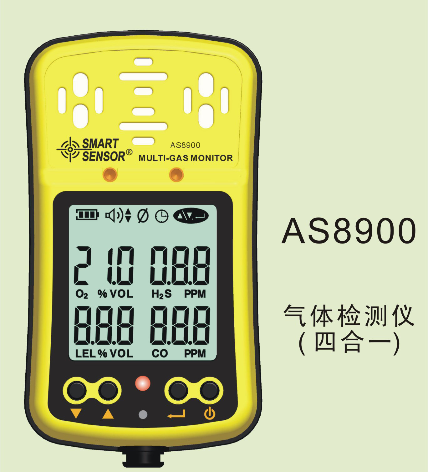 气体检测仪AS8900
